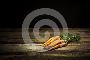 Fresh Organic Carrots