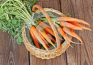 Fresh organic carrots in a basket, selective focus