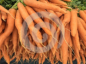 Organic carrots for sale
