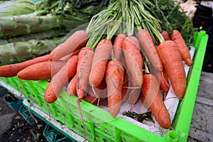 Fresh organic carrots in green plastic basket