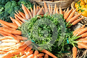 Fresh organic carrots for sale on farmers market