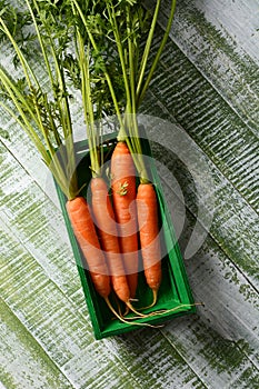 Fresh organic carrots in the small green wooden box