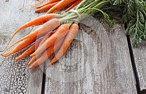 Fresh organic carrots on wooden background, selective focus