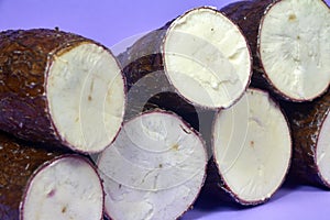 Fresh Organic Cassava Root, Manioc Esculenta, yuca On purple Background