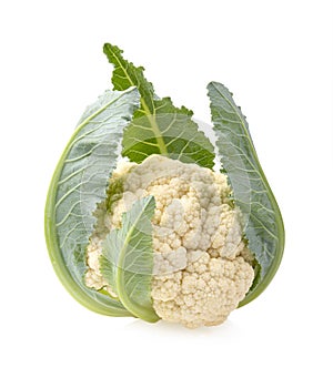 Fresh  organic cauliflower  on white background