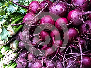 Fresh organic celery and beetroot at farmers Market