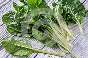 Fresh organic chard