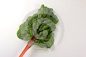 Fresh organic chard on a white background