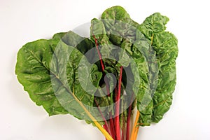 Fresh organic chard on a white background