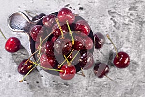 Fresh organic cherries from the home orchard