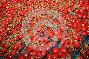 Fresh organic Cherry Tomatoes on Farmers Market in Catania. Sicily