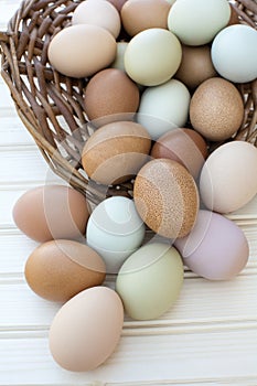 Fresh organic chickeneggs overflow out of basket on wooden backg