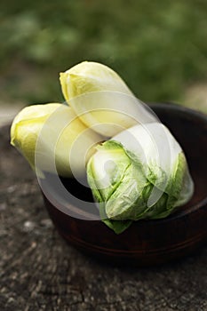 Fresh organic chicory vegetable