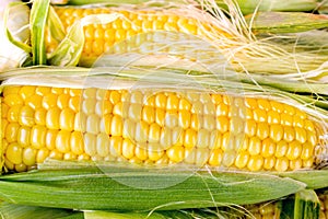 Fresh organic corn