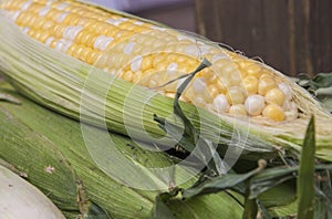 Fresh organic corn on the cob