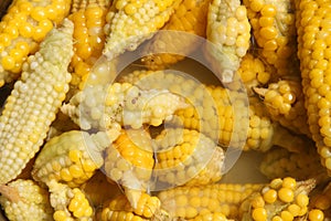 Fresh organic corn in pan