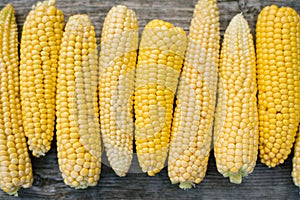 fresh organic corn, peeled ears on a wooden Board close-up