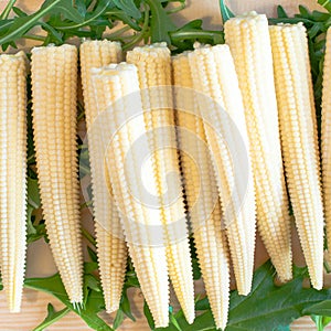 Fresh organic Corn on rocket salad leaves background