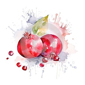 Fresh Organic Cranberry Berry Square Background.