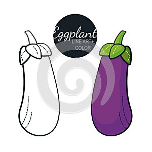 Fresh organic eggplant isolated with line art