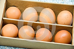 Fresh organic eggs in a cardboard box