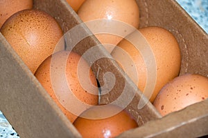Fresh organic eggs in a cardboard box