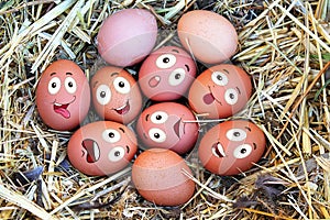 fresh organic eggs with different face expressions, happy easter concept.