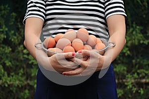 Fresh organic eggs from the farm in the morning background