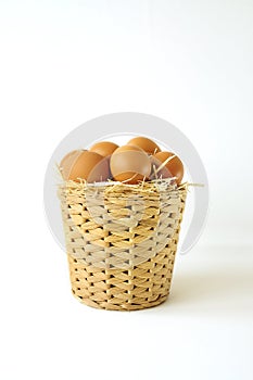 Fresh organic farm eggs