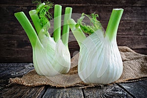 Fresh organic fennel bulbs