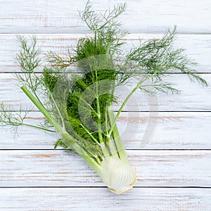 Fresh organic fennel bulbs for culinary purposes on wooden background.