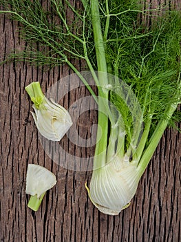 Fresh organic fennel bulbs for culinary purposes on wooden background.