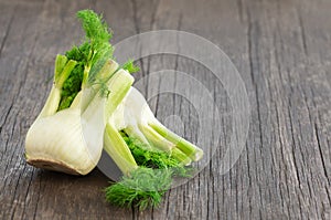 Fresh organic fennel bulbs on rustic background