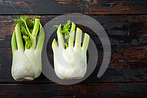 Fresh organic fennel, on old wooden table, flat lay with space for text