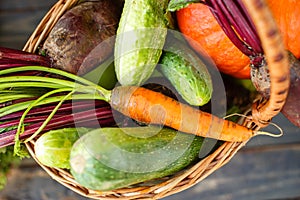 Fresh Organic Food Background Vegetables in the Basket