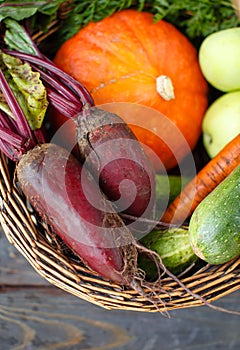 Fresh Organic Food Background Vegetables in the Basket