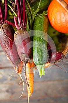 Fresh Organic Food Background Vegetables in the Basket