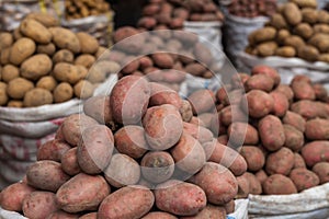 Fresh organic food at the local farmers market, potatoes