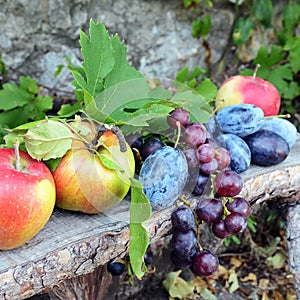 Fresh organic fruit