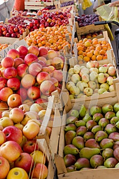 Fresh organic fruit from Serbia