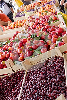 Fresh organic fruit from Serbia