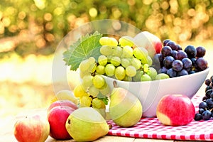 Fresh organic fruits