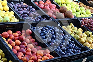 Fresh and organic fruits at farmers market