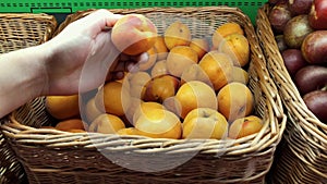 Fresh organic fruits at the local farmers` market. Close up of a man choosing ripe orange apricots at the Farmer`s