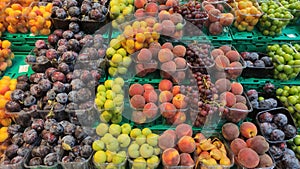 Fresh organic fruits on the market stall. Various of fruits on the market shelves