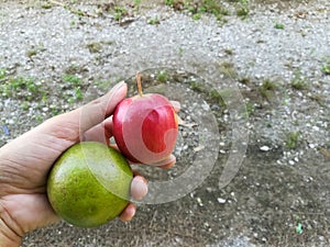 Fresh organic fruits, red apple and green lime, on human hand.