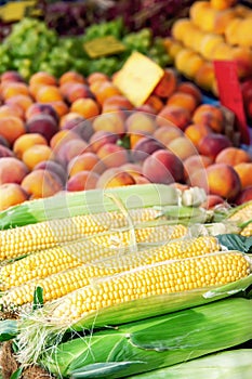 Fresh organic fruits vegetables and corn. Harvest of peaches, peppers and corn on the counter of the farmers ` market in