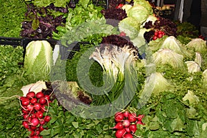 Fresh and organic fruits and vegetables at farmers market. Biological and organic