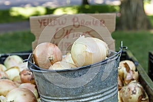 Fresh Organic Fruits and Vegetables at Farmers Market