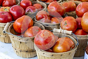 Fresh Organic Fruits and Vegetables at Farmers Market